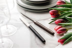 Forge de Laguiole knive | Andrée Putman-kollektion & Satin Mat Finish