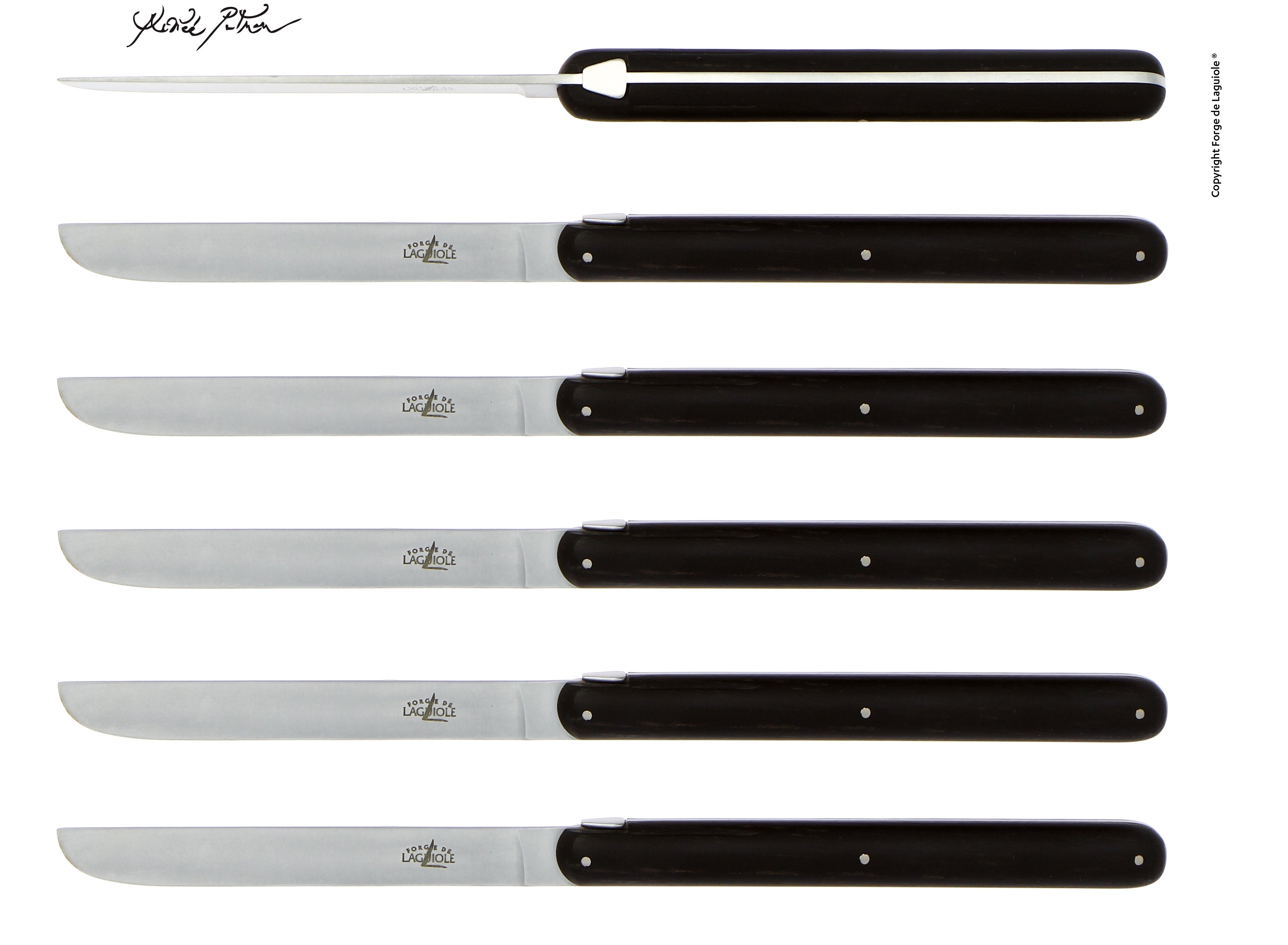 Forge de Laguiole knive | Andrée Putman-kollektion & Satin Mat Finish